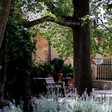 Hotel Son Boronat Calvia (Mallorca)